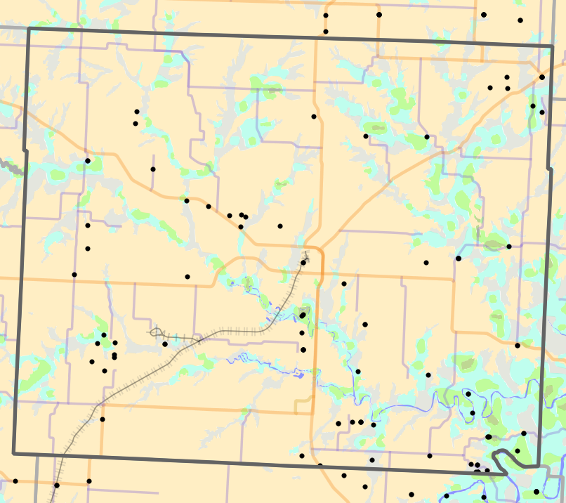 Historical vegetation map for Henry County, Missouri