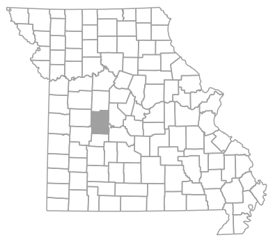 Locator map for Benton County, Missouri
