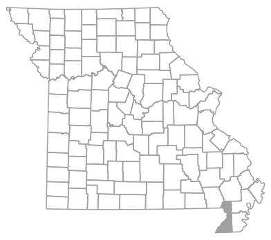 Locator map for Dunklin County, Missouri