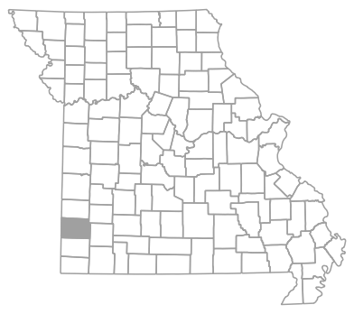 Locator map for Jasper County, Missouri