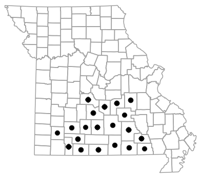 County map for Eurycea nerea (Northern Grotto Salamander)