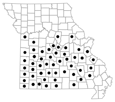 County map for Masticophis flagellum (Eastern Coachwhip)