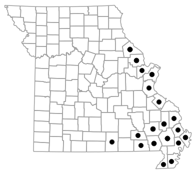 County map for Siren nettingi (Western Lesser Siren)