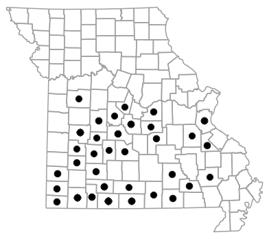 County map for Virginia striatula (Rough Earthsnake)