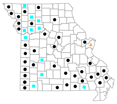 Historical county map for Dryophytes chrysoscelis (Cope