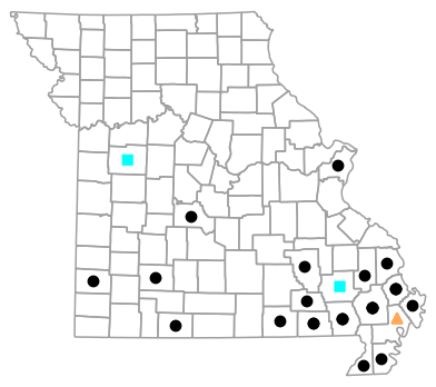 Historical county map for Dryophytes cinereus (Green Treefrog)