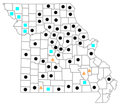 Historical county map for Dryophytes versicolor (Gray Treefrog)