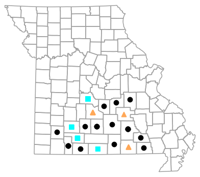 Historical county map for Eurycea nerea (Northern Grotto Salamander)