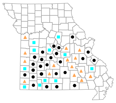 Historical county map for Masticophis flagellum (Eastern Coachwhip)