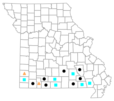 Historical county map for Necturus louisianensis (Red River Mudpuppy)