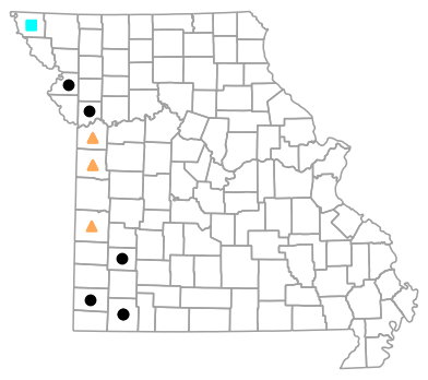Historical county map for Plestiodon obsoletus (Great Plains Skink)
