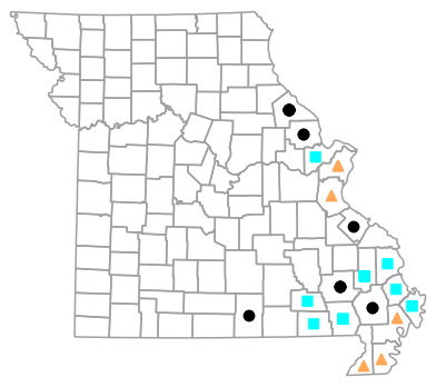 Historical county map for Siren nettingi (Western Lesser Siren)