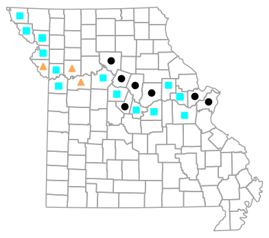 Historical county map for Spea bombifrons (Plains Spadefoot)