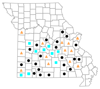 Historical county map for Tantilla gracilis (Flat-headed Snake)