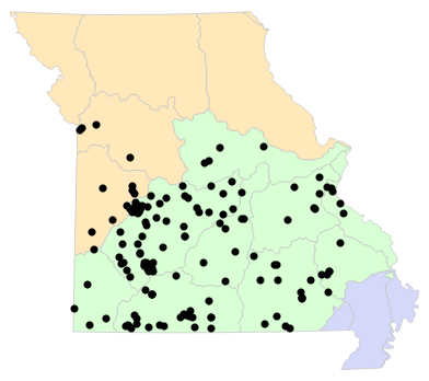 Ecological Drainage Units map for Masticophis flagellum (Eastern Coachwhip)