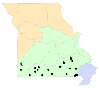 Ecological Drainage Units map for Necturus louisianensis (Red River Mudpuppy)
