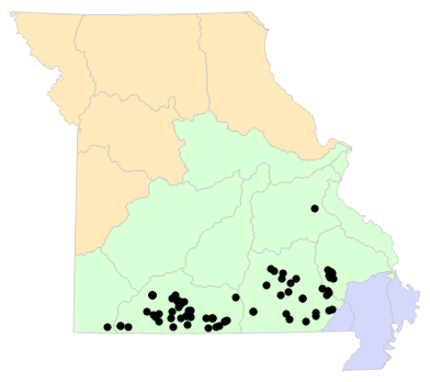 Ecological Drainage Units map for Sistrurus miliarius (Western Pygmy Rattlesnake)