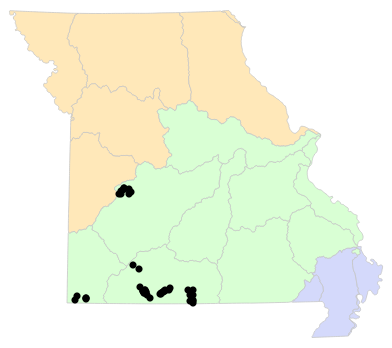 Ecological Drainage Units map for Sonora episcopa (Great Plains Groundsnake)