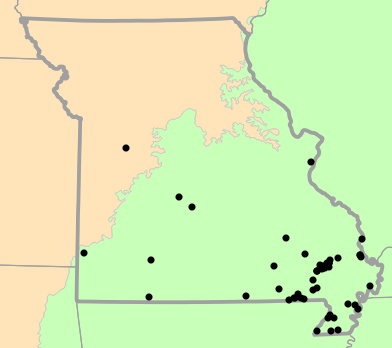Level I Ecoregions map for Dryophytes cinereus (Green Treefrog)