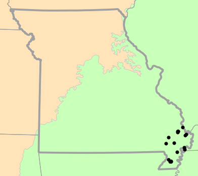 Level I Ecoregions map for Lampropeltis nigra (Eastern Black Kingsnake)