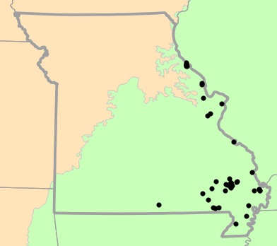 Level I Ecoregions map for Siren nettingi (Western Lesser Siren)