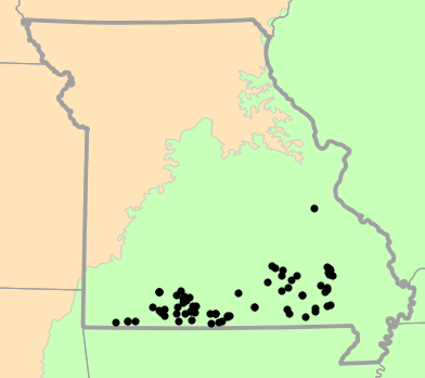 Level I Ecoregions map for Sistrurus miliarius (Western Pygmy Rattlesnake)