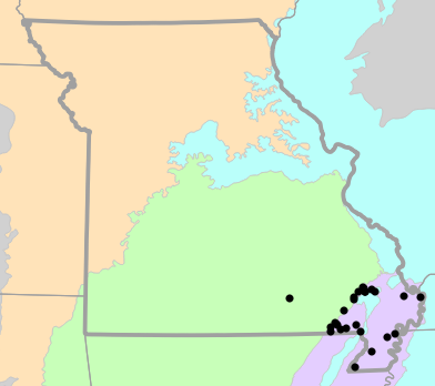 Level II Ecoregions map for Kinosternon subrubrum (Mississippi Mud Turtle)
