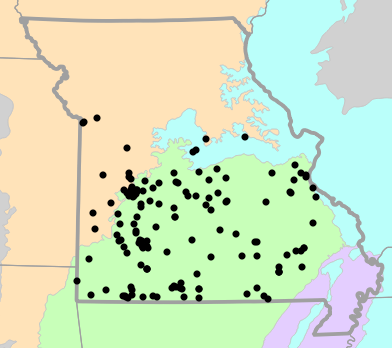 Level II Ecoregions map for Masticophis flagellum (Eastern Coachwhip)