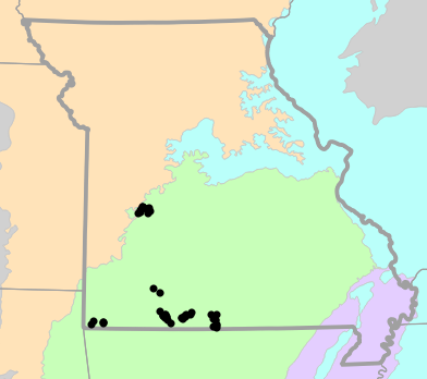 Level II Ecoregions map for Sonora episcopa (Great Plains Groundsnake)