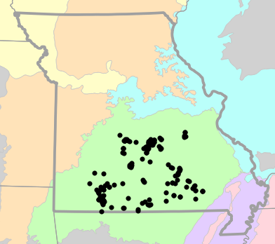 Level III Ecoregions map for Eurycea nerea (Northern Grotto Salamander)