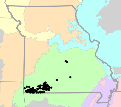 Level III Ecoregions map for Eurycea tynerensis (Oklahoma Salamander)