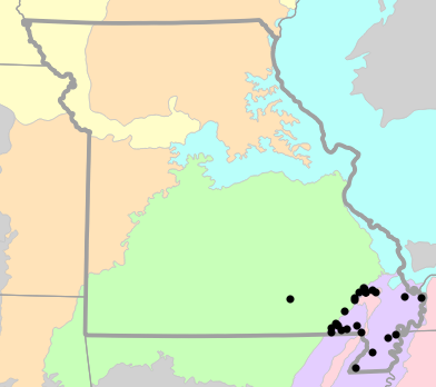 Level III Ecoregions map for Kinosternon subrubrum (Mississippi Mud Turtle)