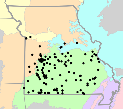 Level III Ecoregions map for Masticophis flagellum (Eastern Coachwhip)