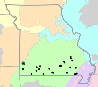 Level III Ecoregions map for Necturus louisianensis (Red River Mudpuppy)