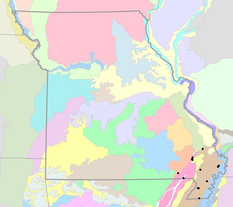 Level IV Ecoregions map for Amphiuma tridactylum (Three-toed Amphiuma)