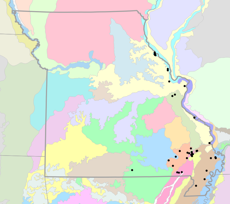 Level IV Ecoregions map for Siren nettingi (Western Lesser Siren)