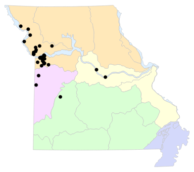 Natural Divisions locality map for Gastrophryne olivacea (Western Narrow-mouthed Toad)