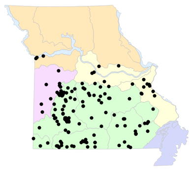 Natural Divisions locality map for Masticophis flagellum (Eastern Coachwhip)