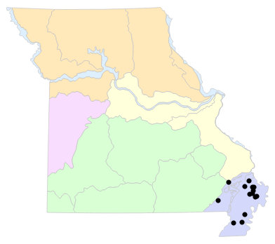 Natural Divisions locality map for Scaphiopus holbrookii (Eastern Spadefoot)