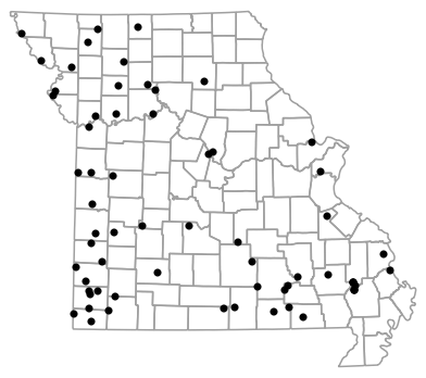 Locality map for Dryophytes chrysoscelis (Cope