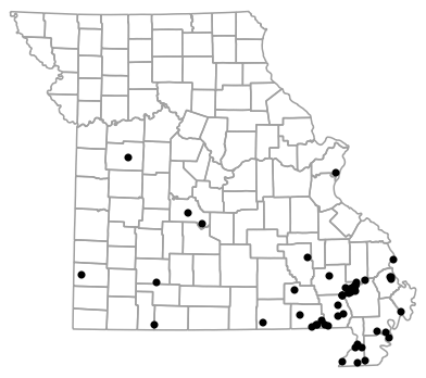 Locality map for Dryophytes cinereus (Green Treefrog)