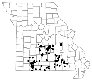 Locality map for Eurycea nerea (Northern Grotto Salamander)