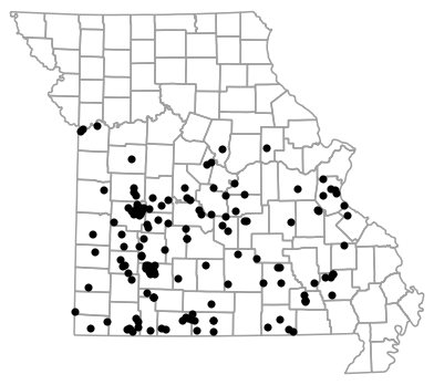 Locality map for Masticophis flagellum (Eastern Coachwhip)