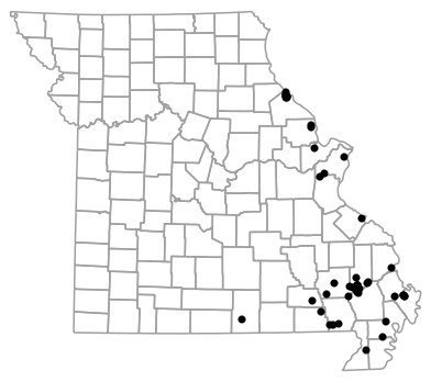 Locality map for Siren nettingi (Western Lesser Siren)