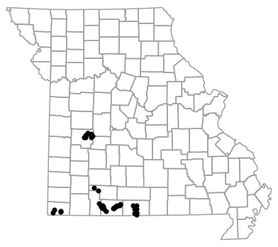 Locality map for Sonora episcopa (Great Plains Groundsnake)