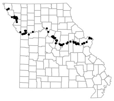 Locality map for Spea bombifrons (Plains Spadefoot)