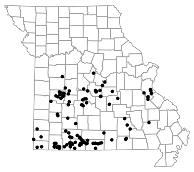 Locality map for Virginia striatula (Rough Earthsnake)