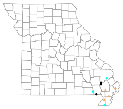 Historical locality map for Amphiuma tridactylum (Three-toed Amphiuma)