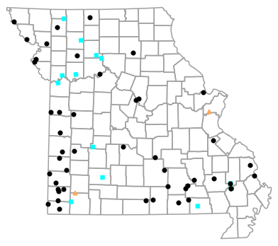 Historical locality map for Dryophytes chrysoscelis (Cope