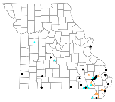 Historical locality map for Dryophytes cinereus (Green Treefrog)